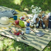 Người Nhật mang theo những gì cho chuyến picnic mùa hè?